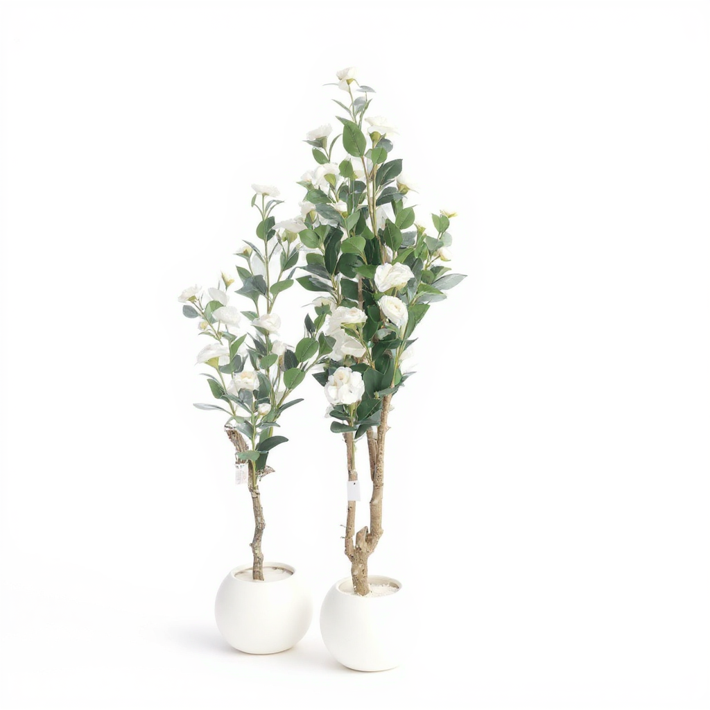 Damask Tree - Choose The Required Size