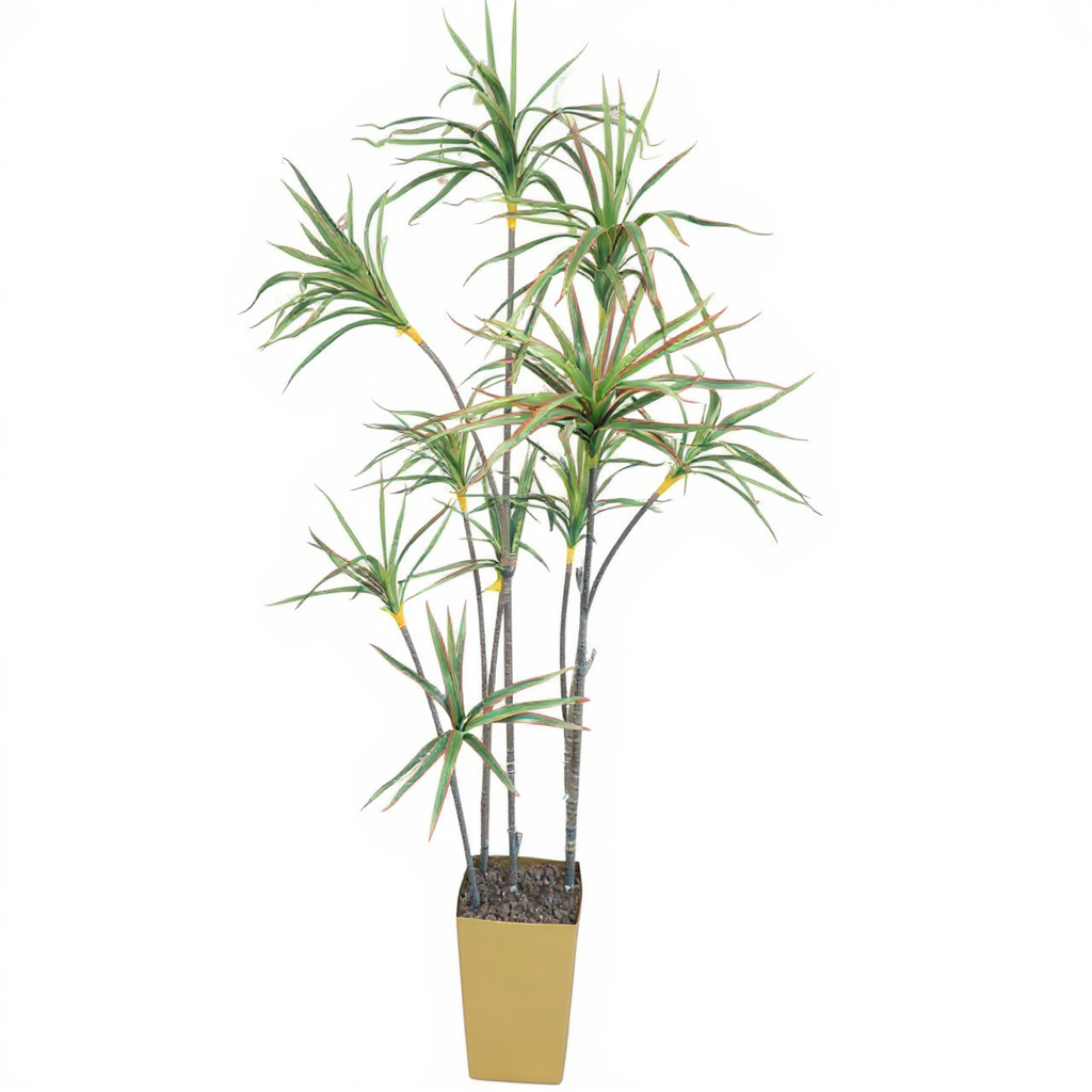 Dracaena Tree 180 CM