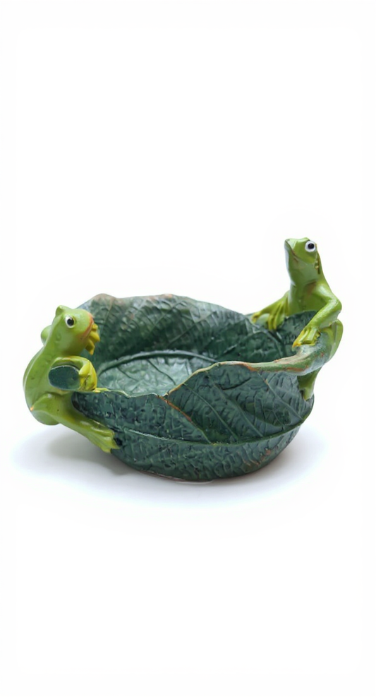 Frog Decor for Office, Library or Living Room