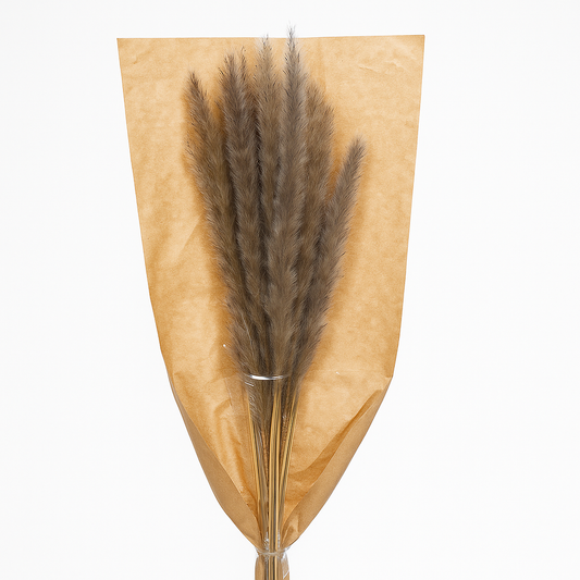 Dried Pampas Grass