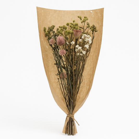 Dried Pampas Grass