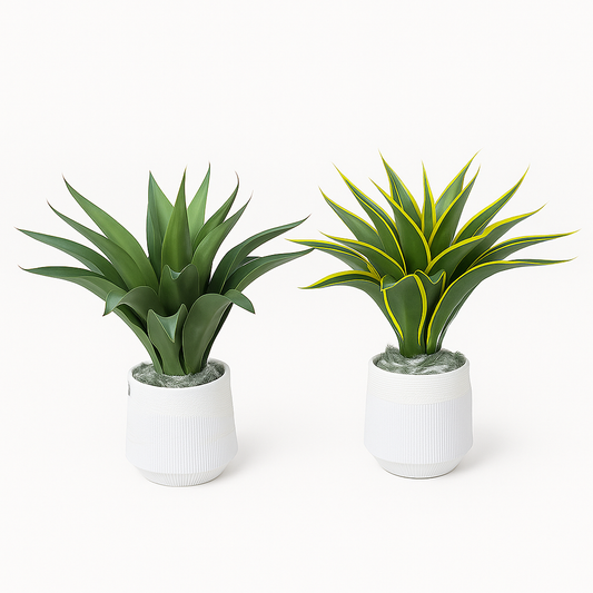 Aloevera Plant / Tree 60 cm