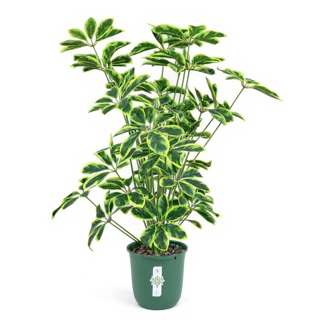 Sheflaria Tree 120 CM