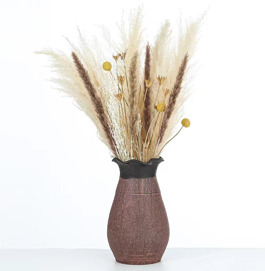 Dried Pampas Grass