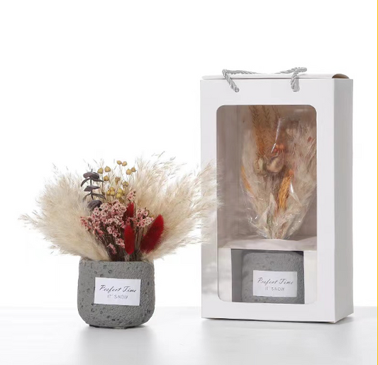 Dried Pampas Grass Gift