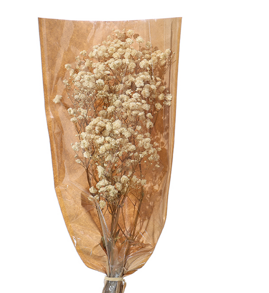 Dried Pampas Grass