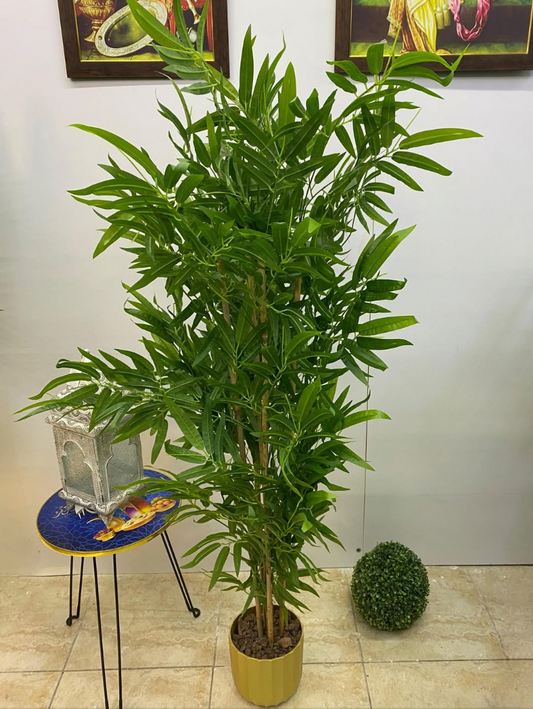 Bamboo Stems Tree 2 Meters