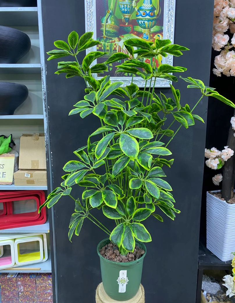 Sheflaria Tree 120 CM