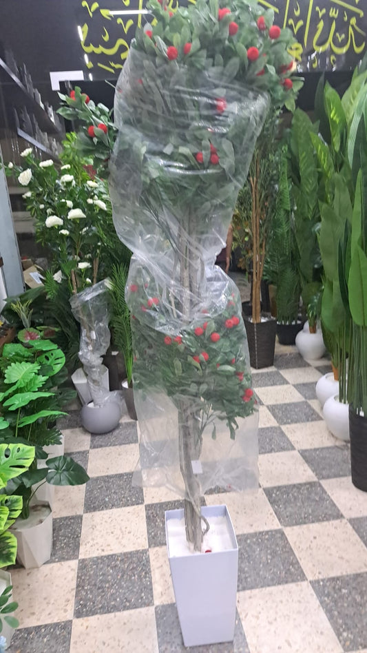 شجرة أزهار الكرز