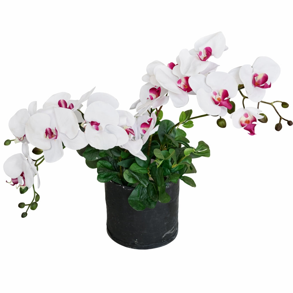 Artificial Orchid Plant — 50 cm