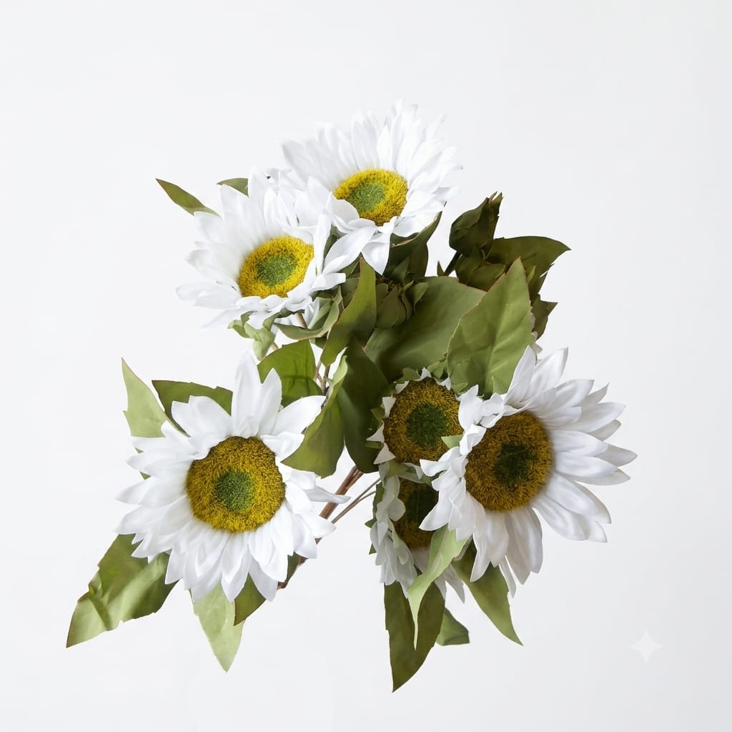Sun Flower
