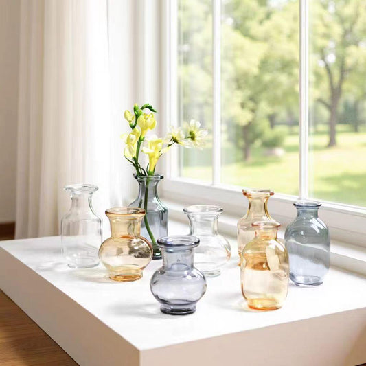 1PC Glass Vase