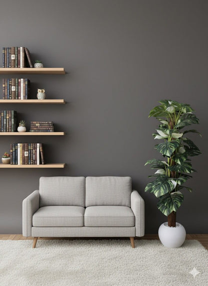 Monstera Deliciosa Tree