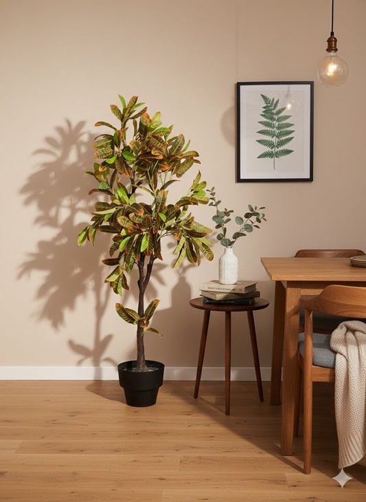 Croton Tree