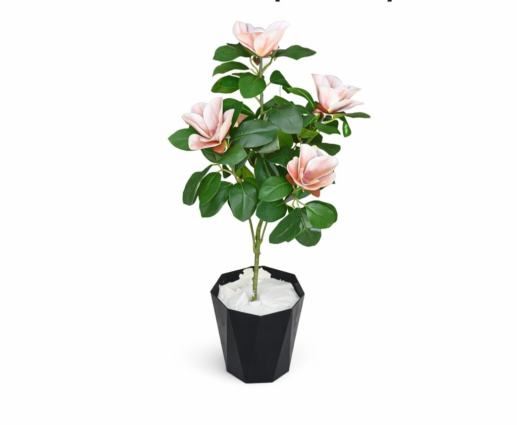 Flora Flower Plant