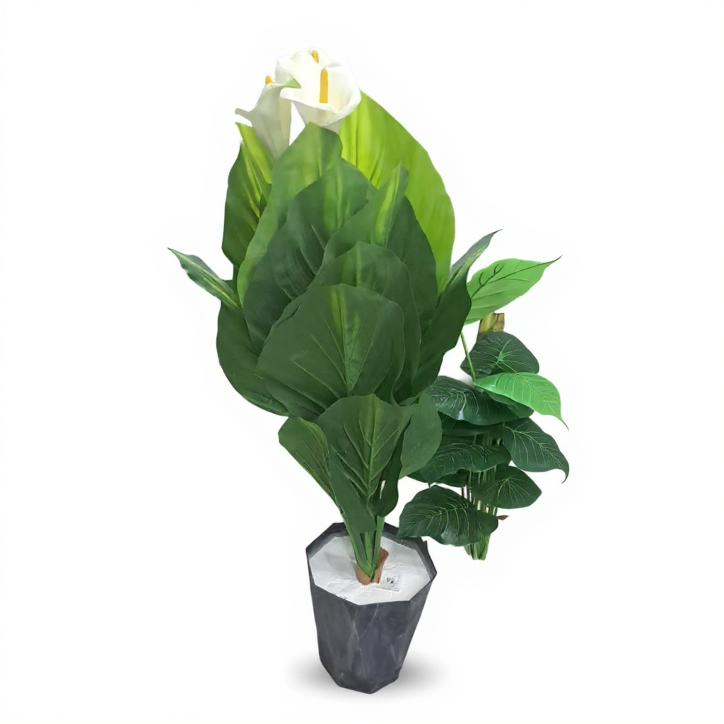 Calla Lilies Flower Tree