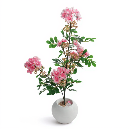 Italian Jasmin Flower Tree 110 CM